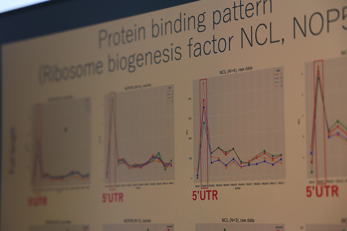 「新規RNA-タンパク質複合体解析技術の開発と創薬スクリーニングへの応用」プロジェクト